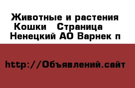 Животные и растения Кошки - Страница 3 . Ненецкий АО,Варнек п.